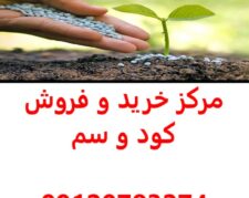بهترین فروشگاه کود و سم کشاورزی در کرمان,مرکز خرید و فروش کود و سم کشاورزی در کرمان,قیمت کود و سم