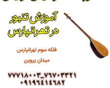 آموزش تخصصی تنبور در تهرانپارس