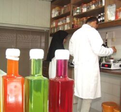 تولید تخصصی رنگ خوراکی طبیعی در اصفهان