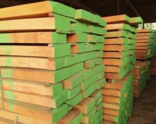فروش انواع چوب راش