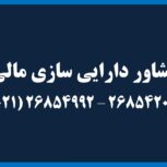 مشاور دارایی سازی