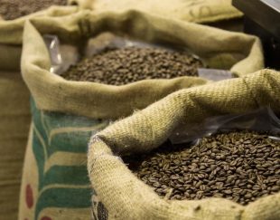 فروش انواع دان قهوه برشته شده با رست سفارشی