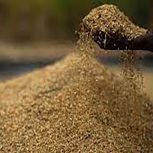 فروش عمده سبوس برنج و پودر گوشت جهت خوراک دام و طیور