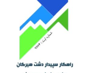 سپیدار در گرگان