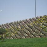 گلدان بتنی گلفوژ فلاورباکس بتنی گلفوژ