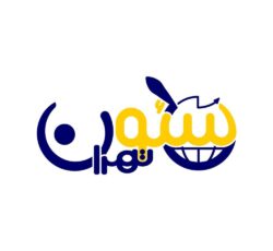 طراحی سایت + سئوتخصصی باامکان پرداخت اقساطی