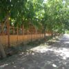 باغ با مجوز گردشگری ۱۰۰۰۰ متر فروشی