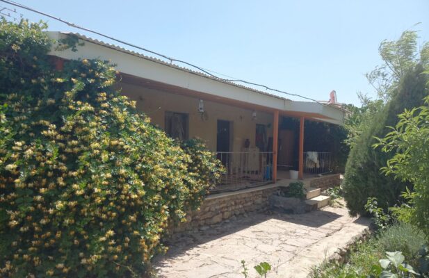 باغ با مجوز گردشگری ۱۰۰۰۰ متر فروشی