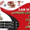 تولید و توزیع انواع مولاژ های تخصصی  آموزش پزشکی. انواع فانتوم ومدل های آناتومی مناسب  آزمایشگاه  مدارس و دانشگاه و مراکز مهارت های بالینی بیمارستان ها