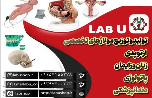 تولید و توزیع انواع مولاژ های تخصصی  آموزش پزشکی. انواع فانتوم ومدل های آناتومی مناسب  آزمایشگاه  مدارس و دانشگاه و مراکز مهارت های بالینی بیمارستان ها