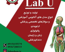 تولید و توزیع انواع مولاژ های تخصصی  آموزش پزشکی. انواع فانتوم ومدل های آناتومی مناسب  آزمایشگاه  مدارس و دانشگاه و مراکز مهارت های بالینی بیمارستان ها