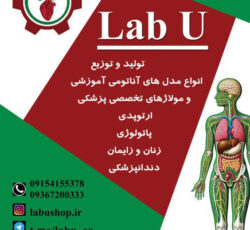 تولید و توزیع انواع مولاژ های تخصصی  آموزش پزشکی. انواع فانتوم ومدل های آناتومی مناسب  آزمایشگاه  مدارس و دانشگاه و مراکز مهارت های بالینی بیمارستان ها