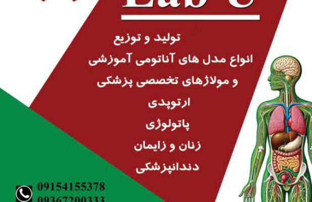 تولید و توزیع انواع مولاژ های تخصصی  آموزش پزشکی. انواع فانتوم ومدل های آناتومی مناسب  آزمایشگاه  مدارس و دانشگاه و مراکز مهارت های بالینی بیمارستان ها
