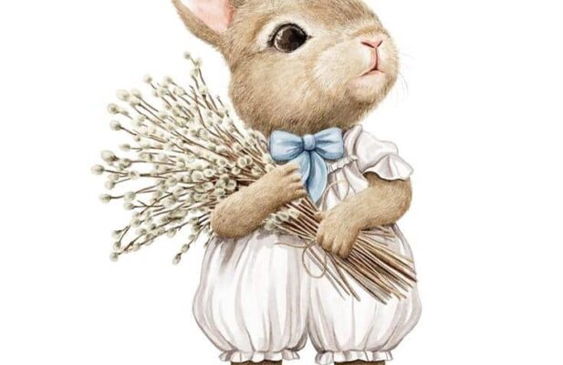 فروش روتختی