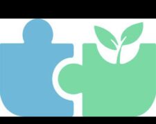 دپارتمان روانشناختی پادیز