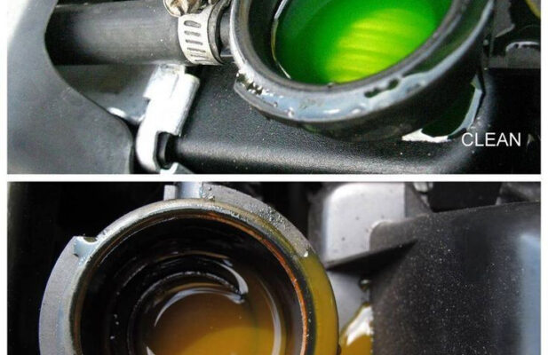 پخش ضد یخ کاسپین چهار فصل بسته۱۶عددی ۱ لیتری