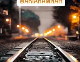 نماینده رسمی قطار های مسافری راه آهن