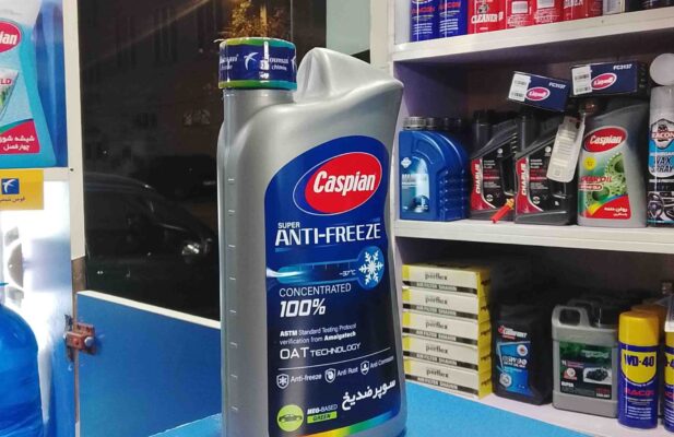 پخش ضد یخ کاسپین چهار فصل بسته۱۶عددی ۱ لیتری