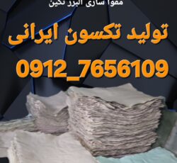 تکسون