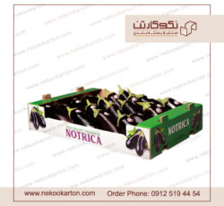 کارتن صادراتی میوه