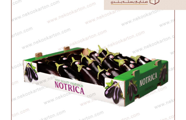 کارتن صادراتی میوه