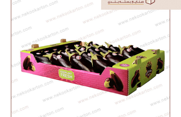کارتن صادراتی میوه