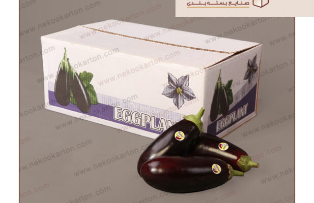 کارتن صادراتی میوه